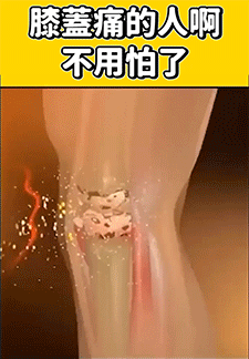 060f520fc9cd203bf90a14593c149040.gif